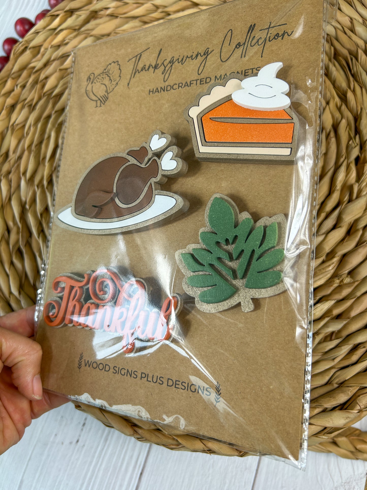 3D Thanksgiving Fridge Magnet Set