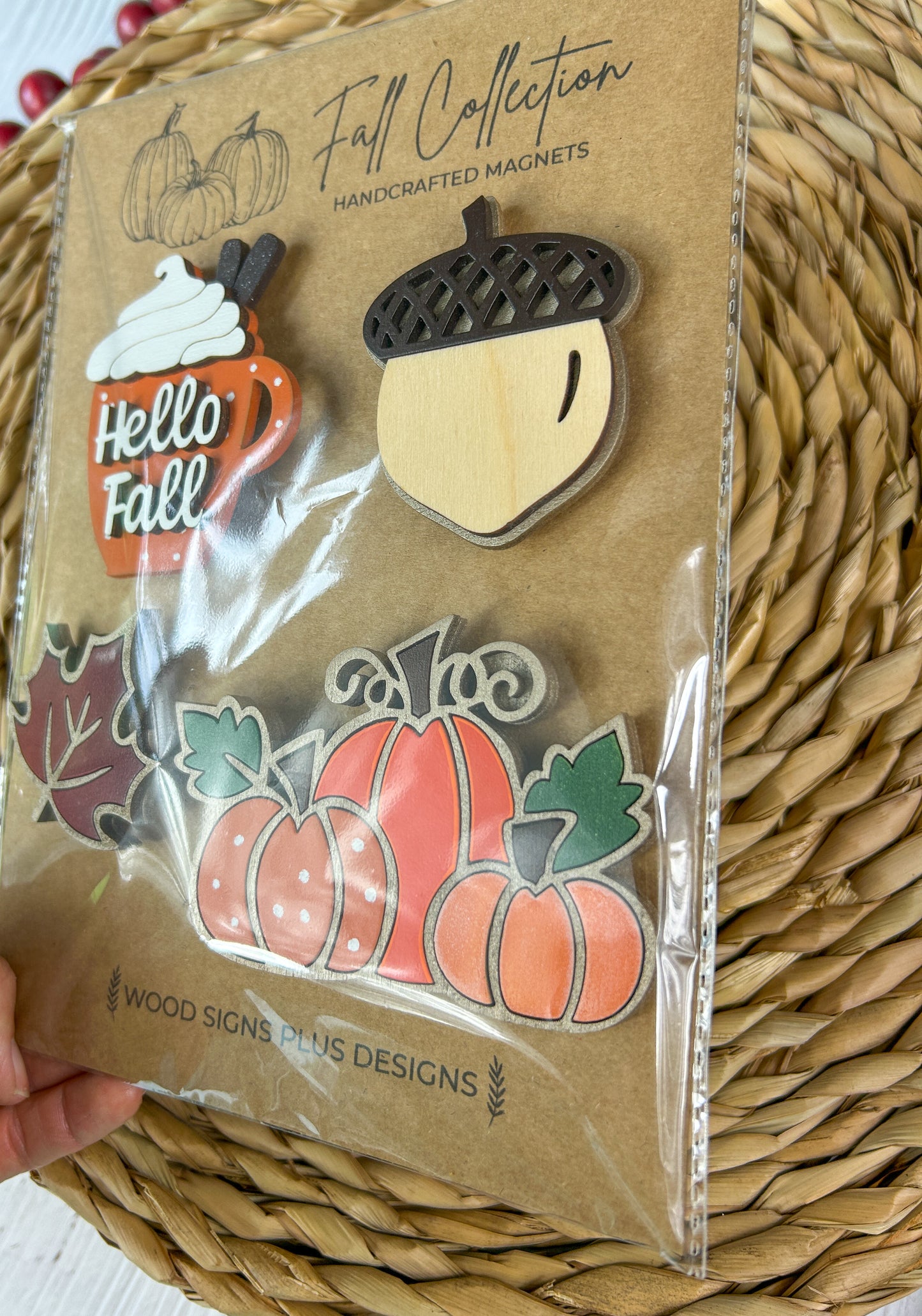 3D Fall Fridge Magnet Set